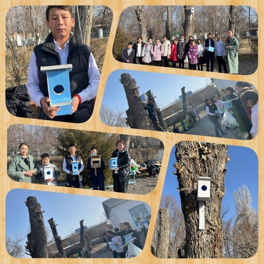 Экологиялық жоба