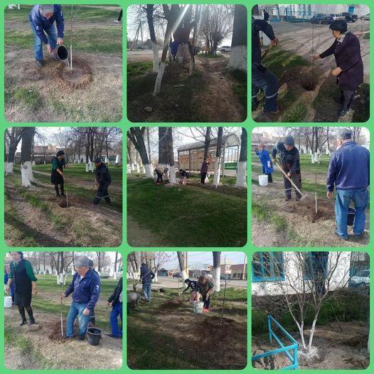 "Ағаш егу" акциясы